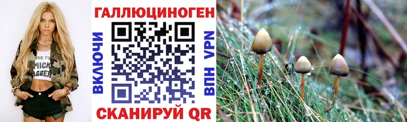 Галлюциногенные грибы MAGIC MUSHROOMS что такое Кириллов
